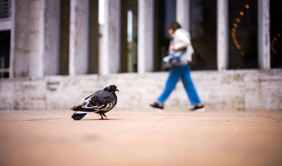 Street Photography, photograph 6 of 31
