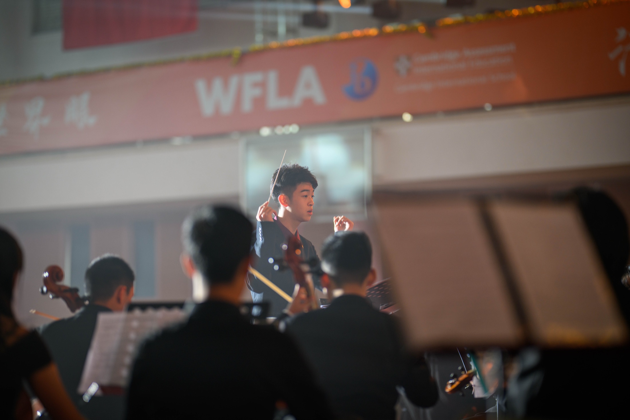 Orchestra, photograph 6 of 13